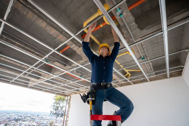 Best Same-Day Plumbing Service  in Window Rock, AZ